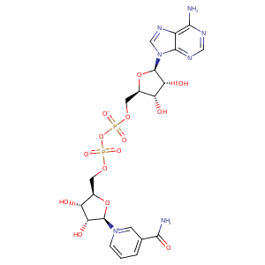 1hf3_1 Structure