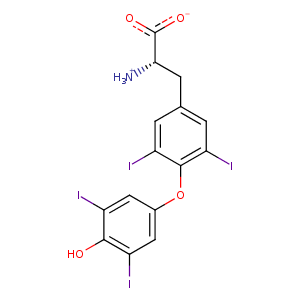 1hk1_1 Structure