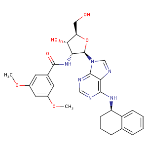 1i33_4 Structure