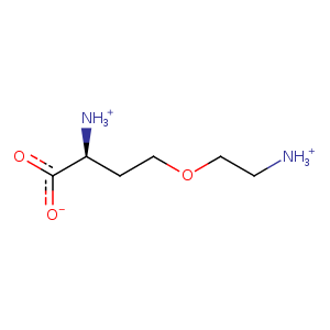 1iay_1 Structure