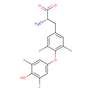 1ie4_2 Structure