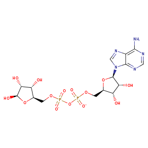 1ihy_3 Structure