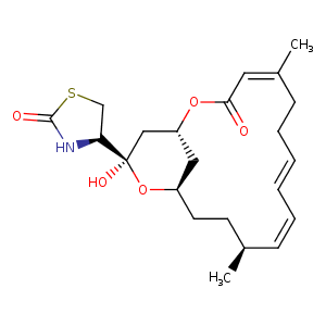 1ijj_1 Structure