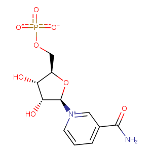 1isj_1 Structure