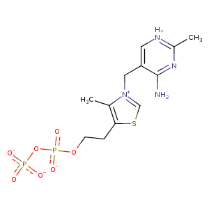 1itz_2 Structure