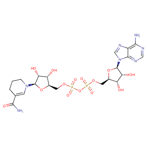 1j0x_2 Structure