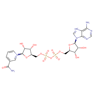 1jkf_1 Structure