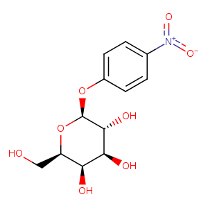 1jyw_4 Structure