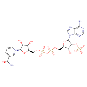 1kev_4 Structure