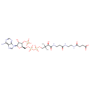 1kgq_1 Structure