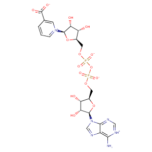 1kqo_5 Structure