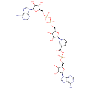 1kqp_2 Structure