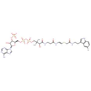 1kuv_1 Structure