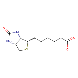 1lcw_1 Structure