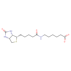 1lel_1 Structure