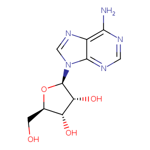 1lik_2 Structure