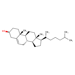 1lri_1 Structure