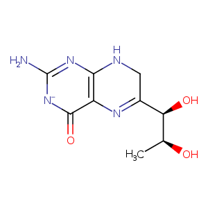 1ltz_1 Structure