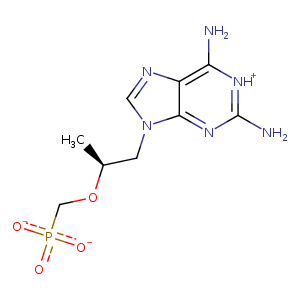 1lv8_4 Structure