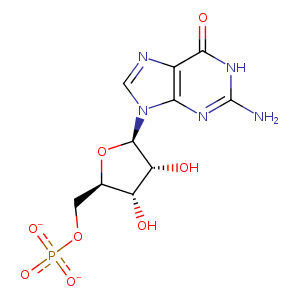 1lvg_1 Structure