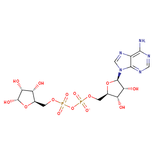 1m2h_1 Structure