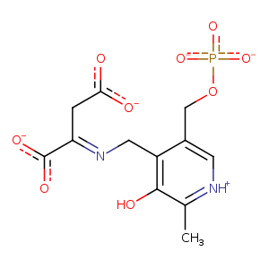 1map_1 Structure