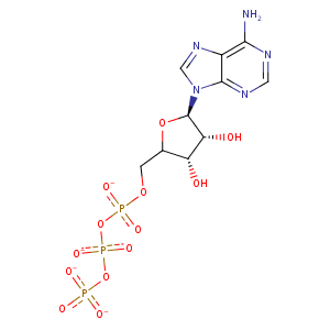 1mb9_1 Structure