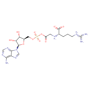 1mbz_1 Structure