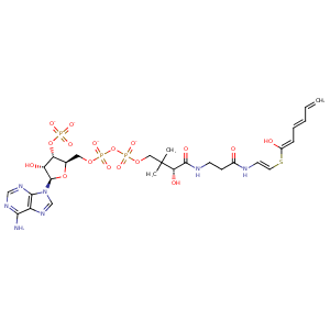 1mj3_1 Structure