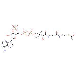 1mjb_1 Structure