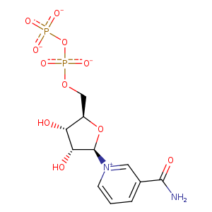 1mjt_3 Structure