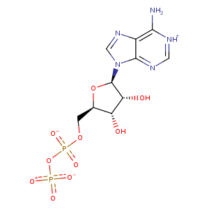 1mwm_1 Structure