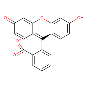 1n0s_1 Structure