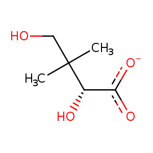 1n2b_1 Structure