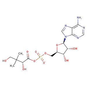 1n2h_2 Structure