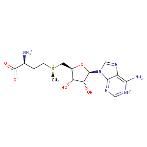 1n6c_1 Structure