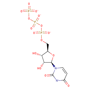 1nb6_1 Structure