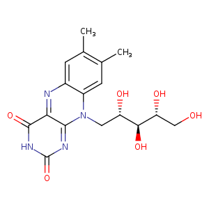 1nb9_1 Structure