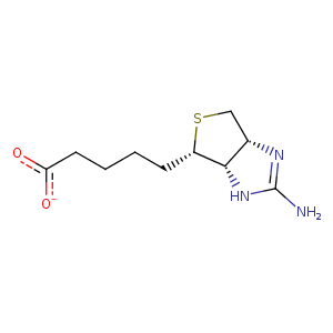 1nc9_1 Structure