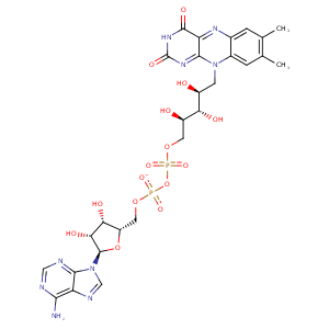 1ndh_1 Structure