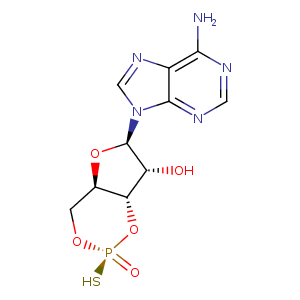 1ne6_2 Structure