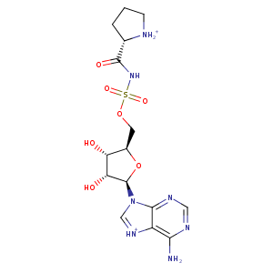 1nj5_1 Structure