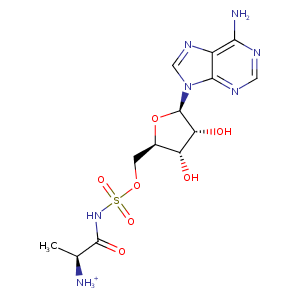 1nj6_1 Structure