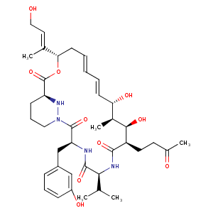 1nmk_2 Structure