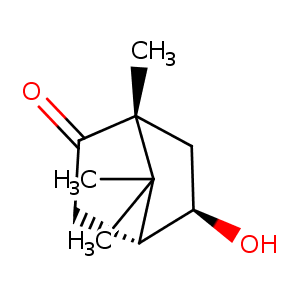 1noo_1 Structure