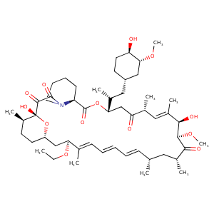 1nsg_1 Structure