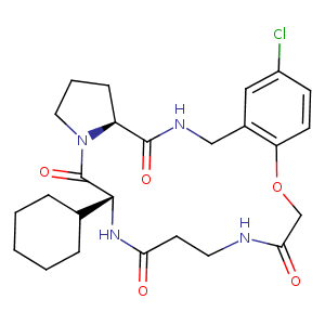 1nt1_1 Structure