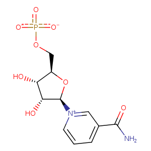 1nup_2 Structure