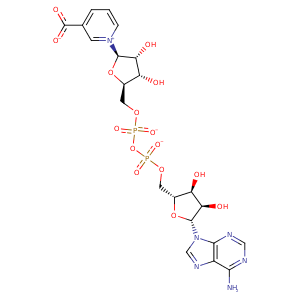 1nuq_2 Structure