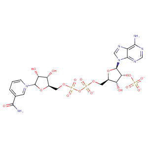 1nvt_2 Structure
